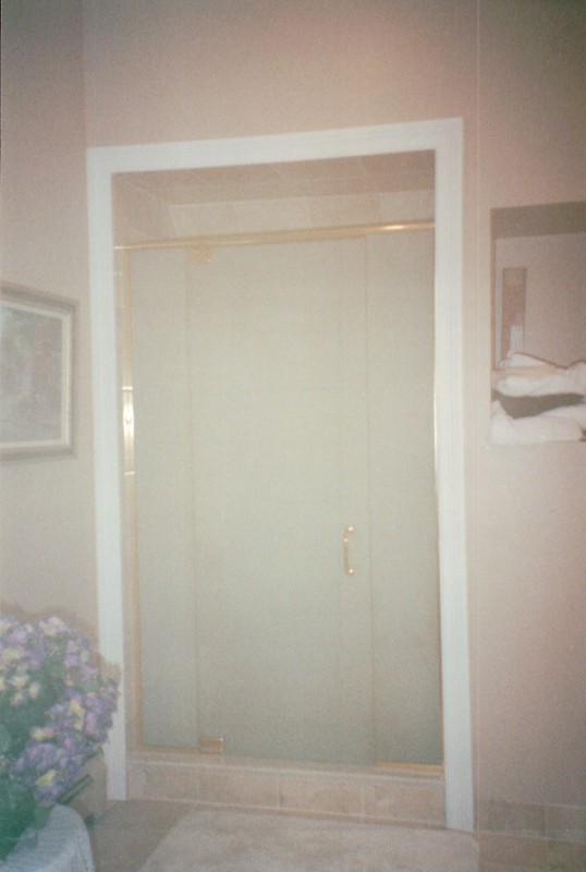 Frameless Panel, Door, Panel with Frosted Glass